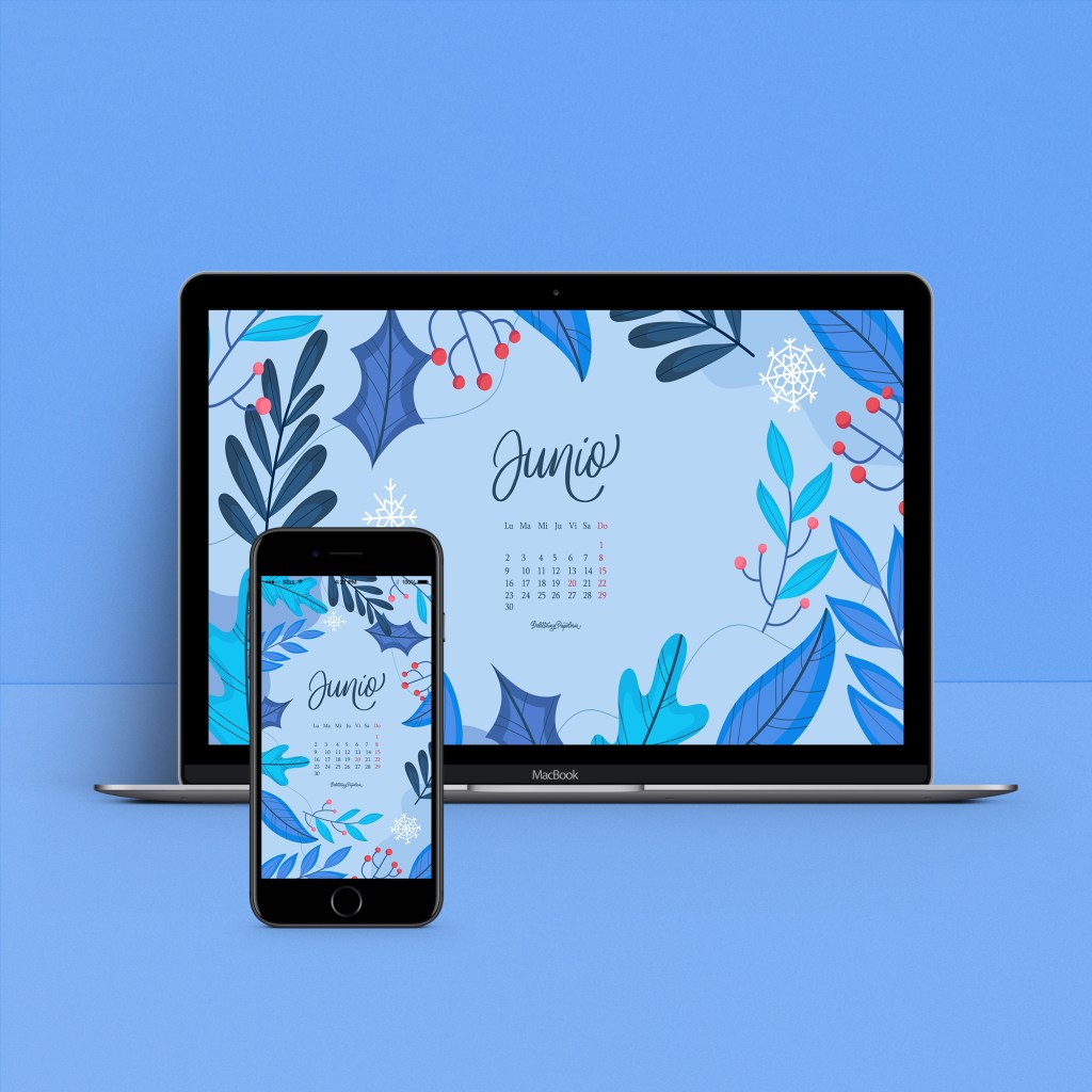 Fondos descargables JUNIO/2025